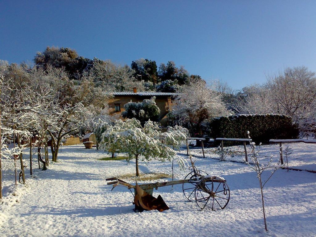 Podere Il Pero Siena Esterno foto