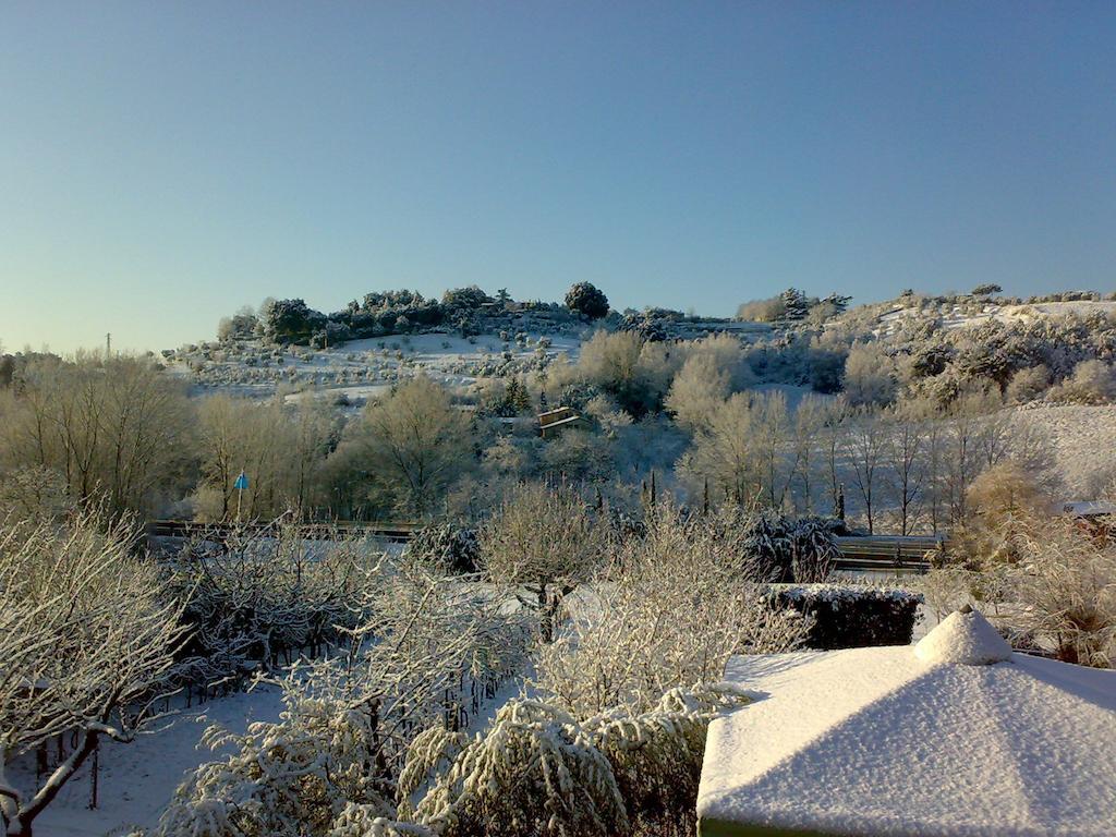 Podere Il Pero Siena Esterno foto
