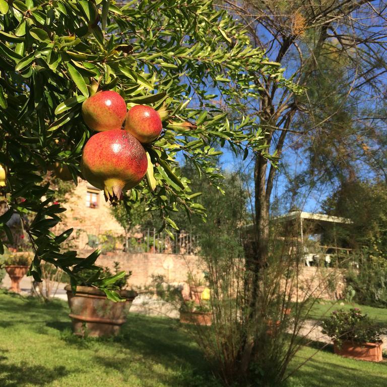 Podere Il Pero Siena Esterno foto